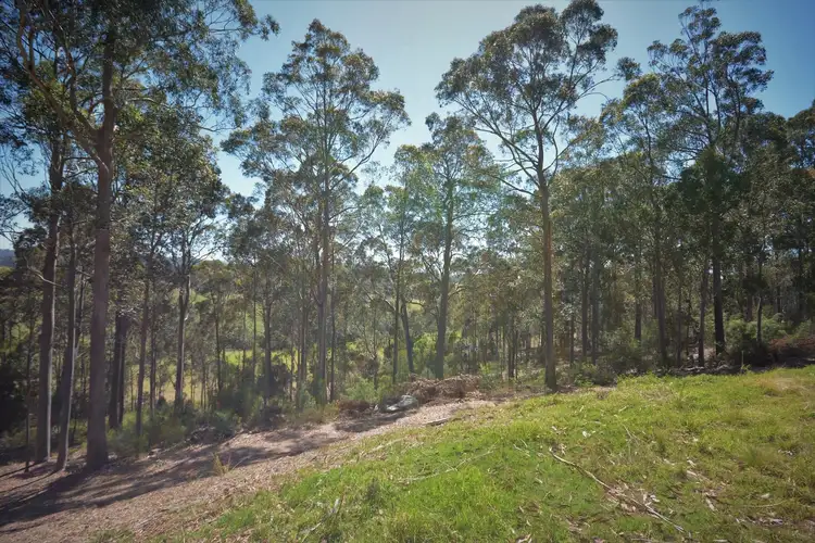 Seventh view of Homely rural property listing, 132 Ridge Road, Corunna NSW 2546