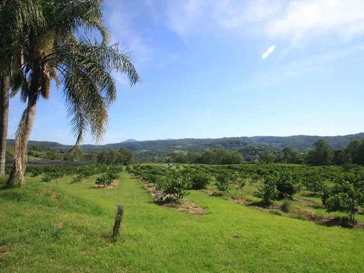 Second view of Homely rural property listing, 120 Gwynne Road, Jiggi NSW 2480