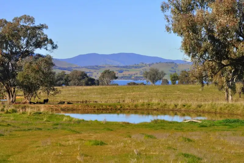 Main view of Homely land listing, LOT 206 Table Top Road, Table Top NSW 2640