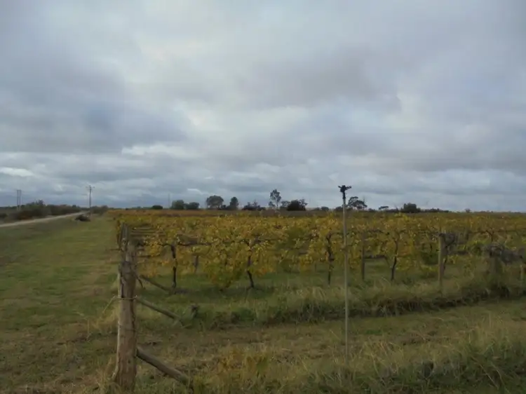 Second view of Homely rural property listing, 7E Satelberg Road, Robinvale VIC 3549