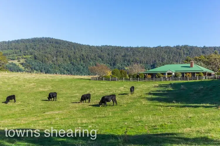 Main view of Homely house listing, 5 Barretts Road, Karoola TAS 7267