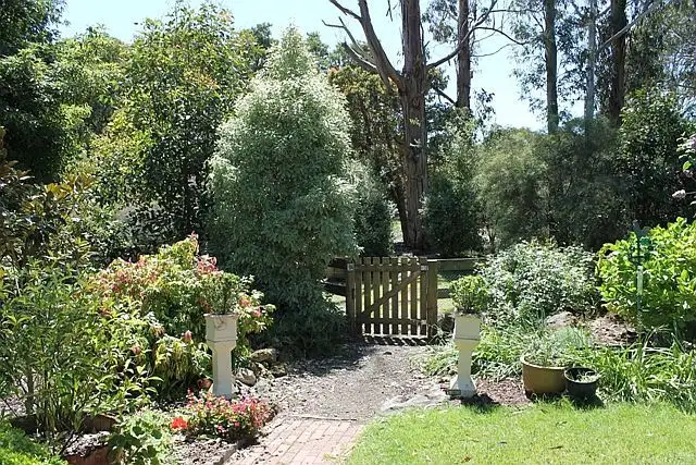 Fourth view of Homely house listing, 40 Wylie Road [via Millicent], Hatherleigh SA 5280