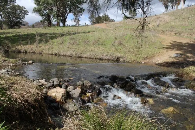 Fourth view of Homely rural property listing, 4927 Halls Creek Road, Tamworth NSW 2340