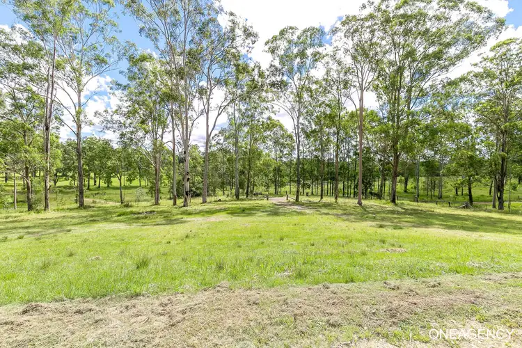 Third view of Homely rural property listing, LOT 373 Mines Road, Mungay Creek NSW 2440