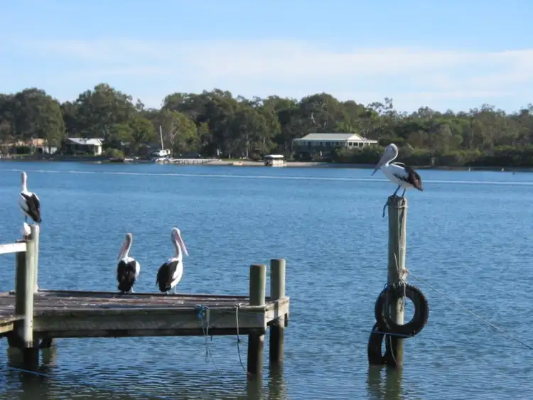 Sixth view of Homely land listing, 18 Edward Street, Noosaville QLD 4566