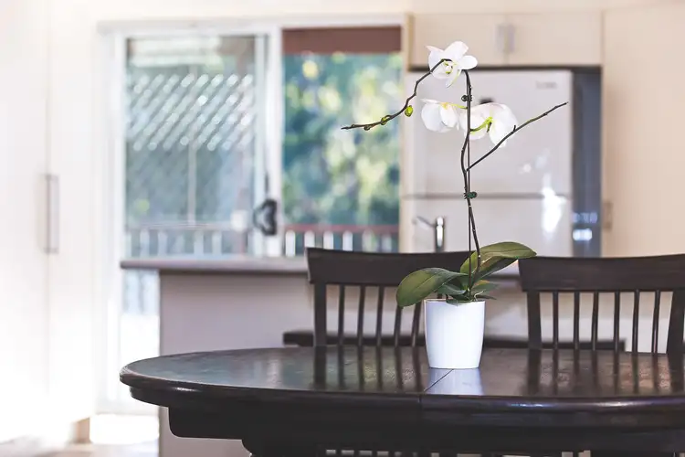 Fourth view of Homely house listing, 114 Woodstock Street, Mayfield NSW 2304