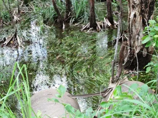 Third view of Homely rural property listing, LOT 6 Parkin Road, Fly Creek NT 822