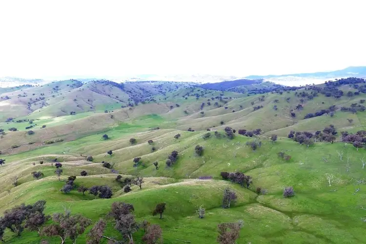 Fourth view of Homely rural property listing, Kincora Lane, Gundagai NSW 2722