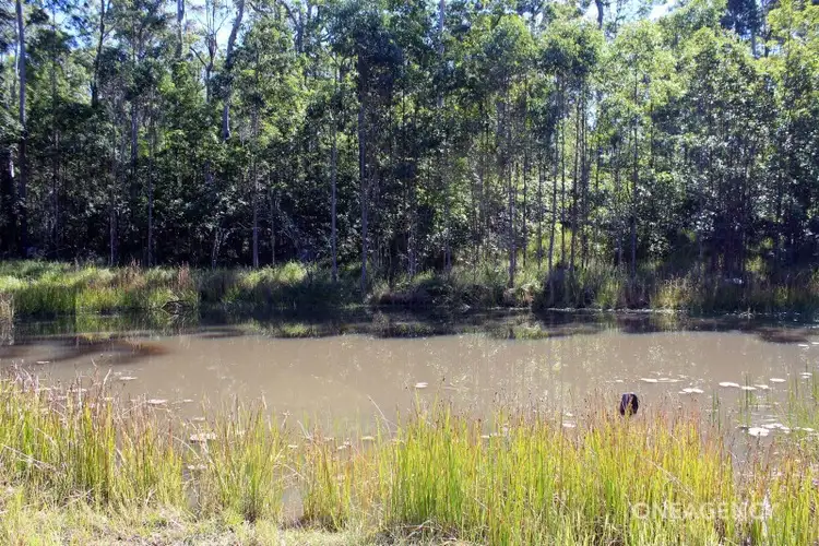 Sixth view of Homely rural property listing, 2093 Jacks Crossing Road, Skillion Flat NSW 2440