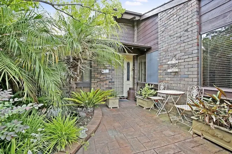 Main view of Homely house listing, 14 Arnold Avenue, Camden South NSW 2570