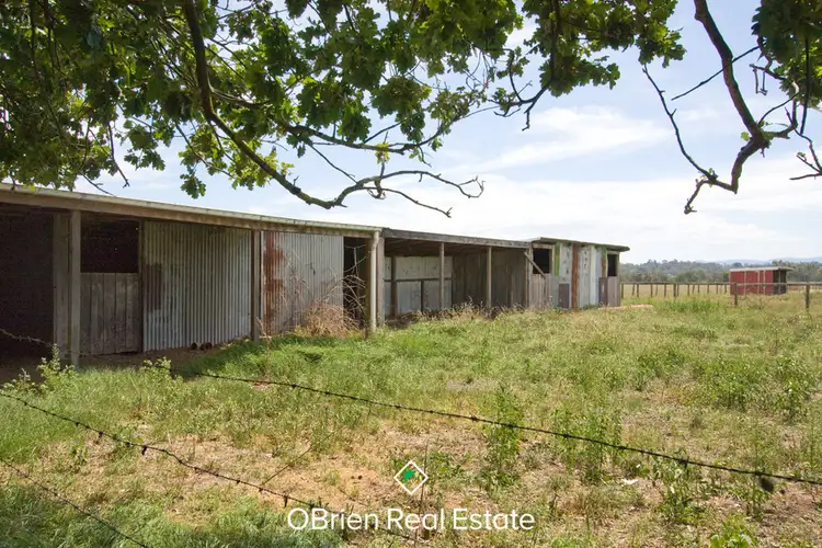Sixth view of Homely rural property listing, 25 Bastin Road, Bunyip VIC 3815