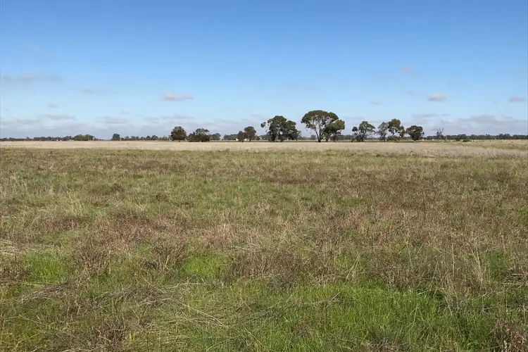 Second view of Homely rural property listing, 764 McKenzie Road, Echuca VIC 3564
