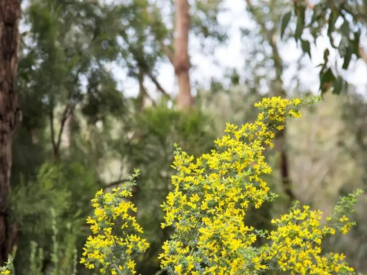 Third view of Homely land listing, LOT 48, 227 Upper Sturt Road, Upper Sturt SA 5156