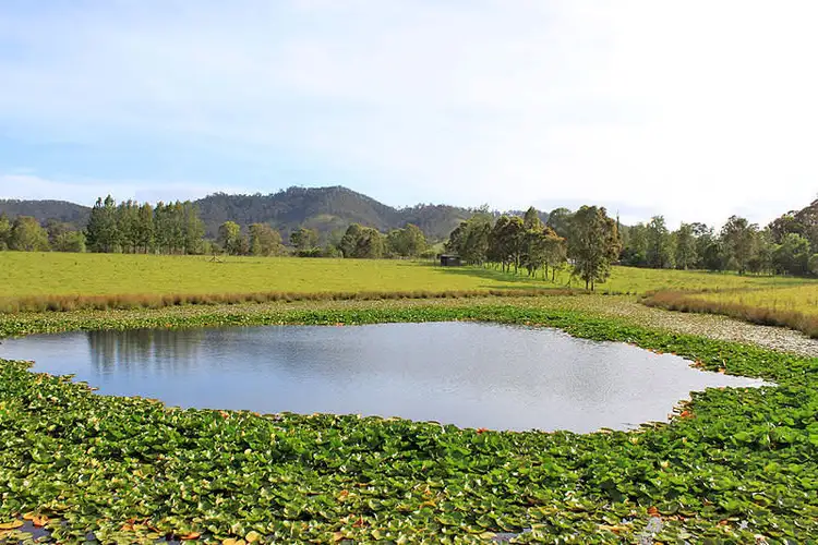 Sixth view of Homely rural property listing, 1-7 Main Street, Bellbrook NSW 2440