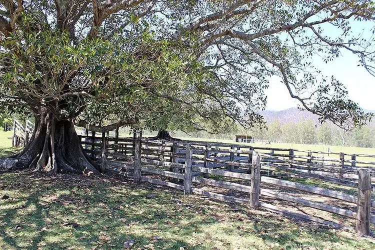 Fourth view of Homely rural property listing, 8493 Armidale/Kempsey Road, Comara NSW 2440