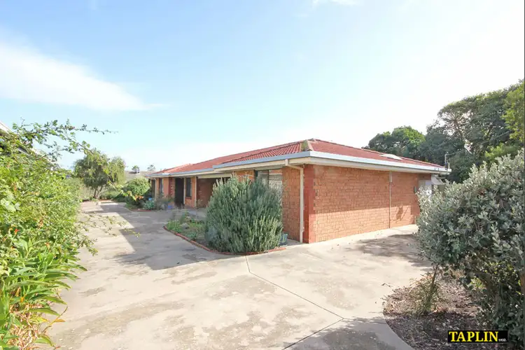 Second view of Homely unit listing, 3/117 Diagonal Road, Warradale SA 5046
