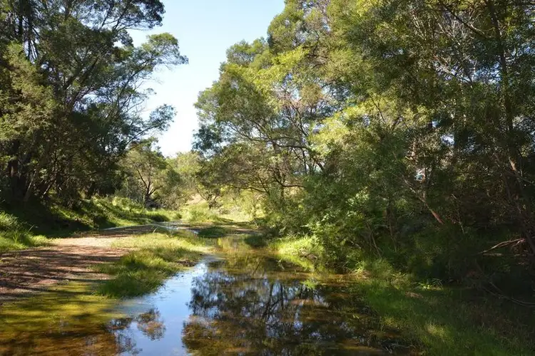 Third view of Homely rural property listing, 184 Barrabaroo Road, Cobargo NSW 2550