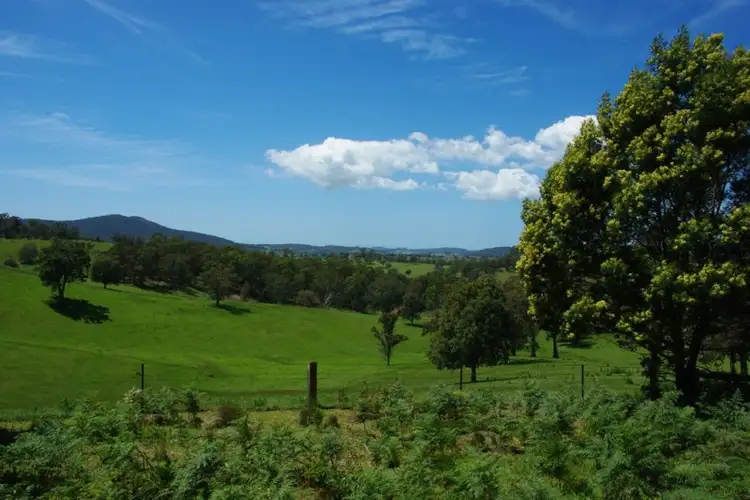 Fifth view of Homely rural property listing, LOT 1 County Boundary Road, Cobargo NSW 2550