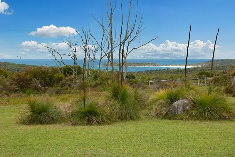 Main view of Homely house listing, 17 Boomerang Street, Evans Head NSW 2473