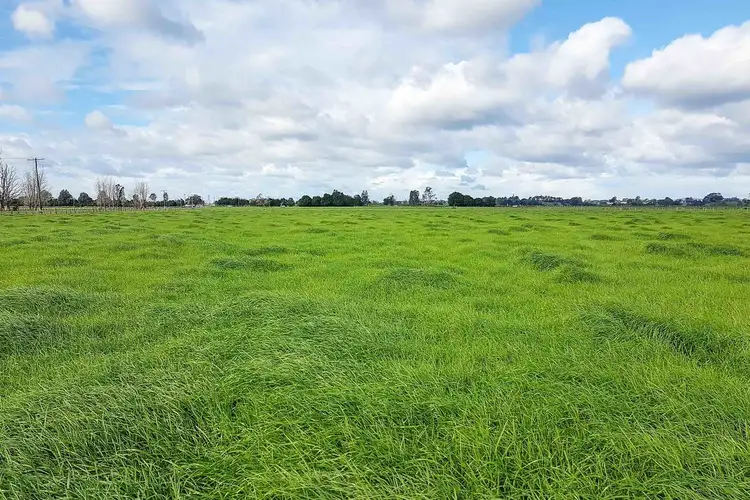 Third view of Homely rural property listing, LOT 84 Second Lane, Kempsey NSW 2440