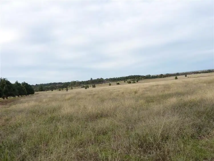 Seventh view of Homely rural property listing, Lot 2 Narromine Road, Dubbo NSW 2830