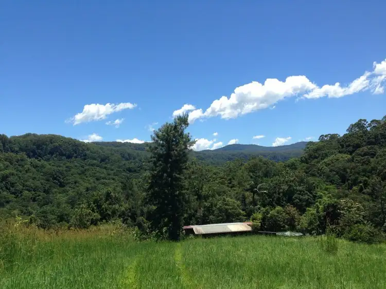 Third view of Homely rural property listing, 874 Terania Creek Road, The Channon NSW 2480