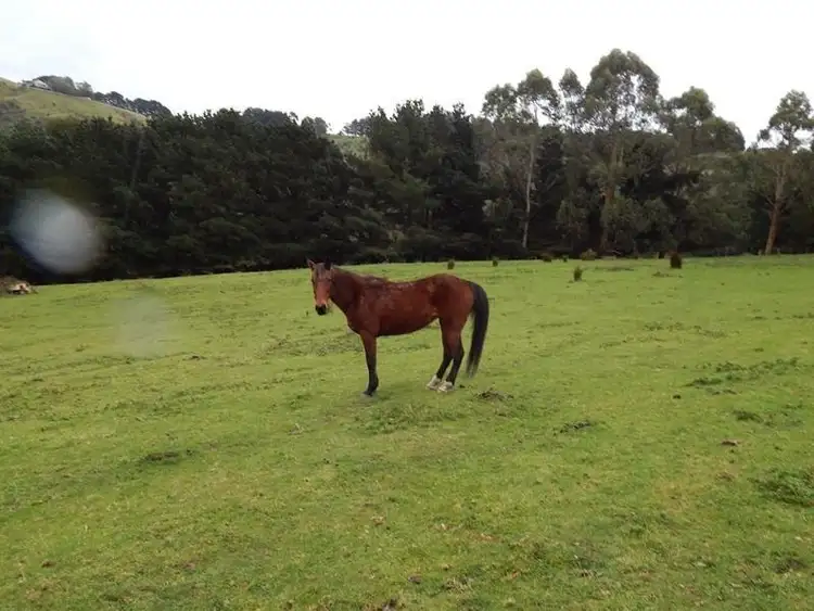 Sixth view of Homely rural property listing, 90 O' Connors Road North, Toora North VIC 3962
