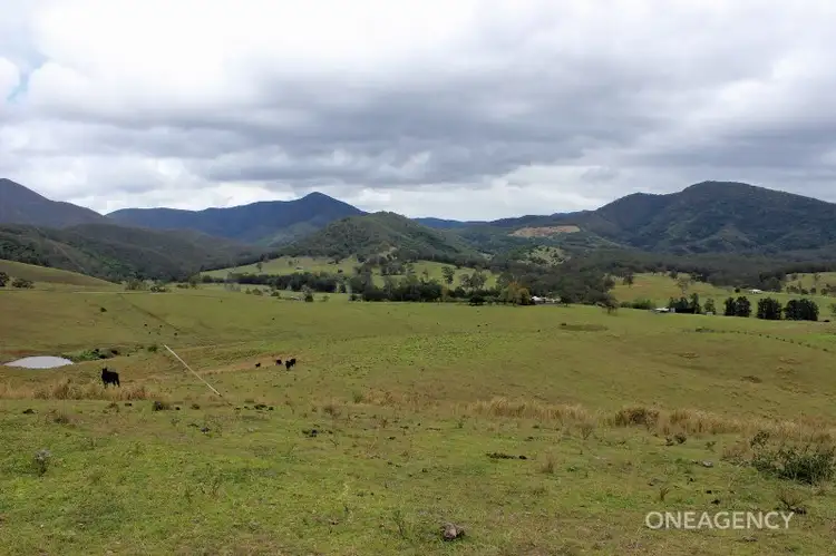Fifth view of Homely rural property listing, Lot 3 Carrai Road, Willi Willi NSW 2440
