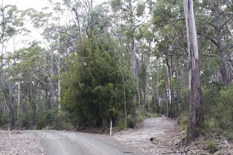 Main view of Homely land listing, 182 Mountain Road, Lilydale TAS 7268