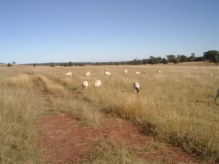 Second view of Homely land listing, 2R Burrabadine Road, Dubbo NSW 2830