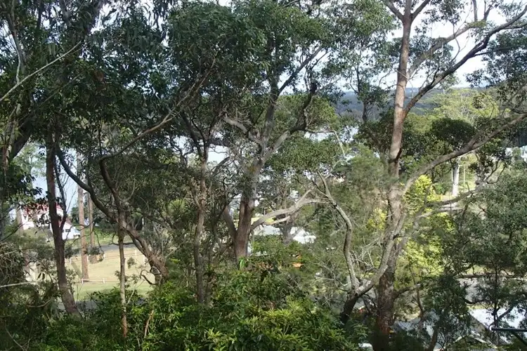 Fifth view of Homely land listing, 76 Canberra Crescent, Burrill Lake NSW 2539