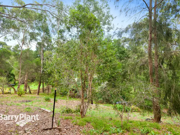 Sixth view of Homely house listing, 12 Bambara Road, Hurstbridge VIC 3099