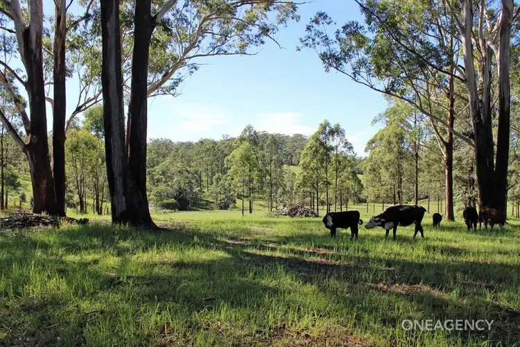 Third view of Homely rural property listing, Lot 30 Chain O Ponds Road, Collombatti NSW 2440