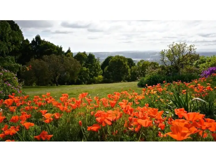 Fifth view of Homely house listing, 201 Kelcey Tier Road, Spreyton TAS 7310