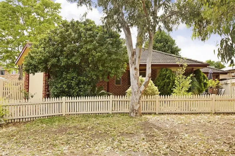 Main view of Homely house listing, 19 Waratah Court, Narellan Vale NSW 2567