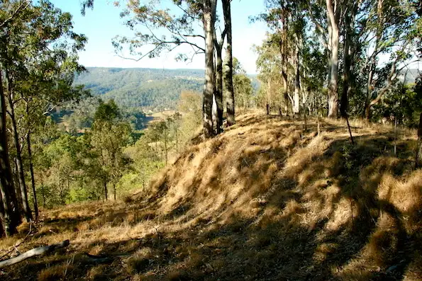 Second view of Homely rural property listing, 181 Lindsay Road, Larnook NSW 2480
