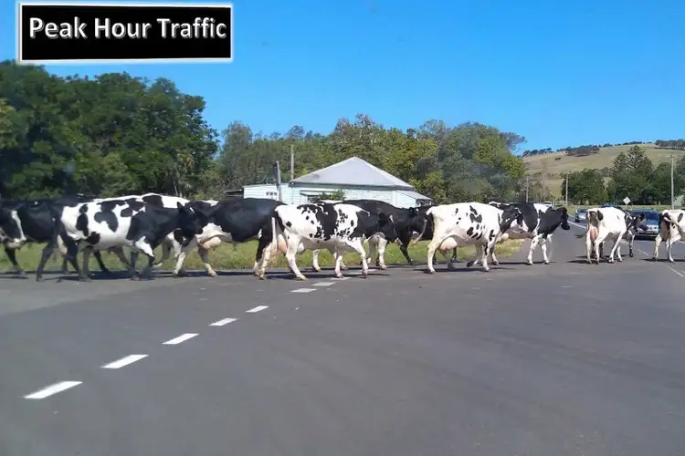 Second view of Homely land listing, 31 Wyalla Road, Jamberoo NSW 2533