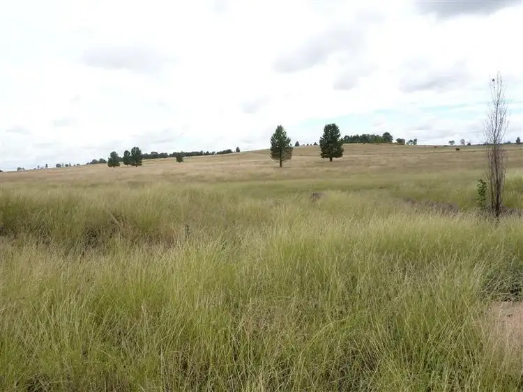 Third view of Homely rural property listing, Lot 2 Narromine Road, Dubbo NSW 2830