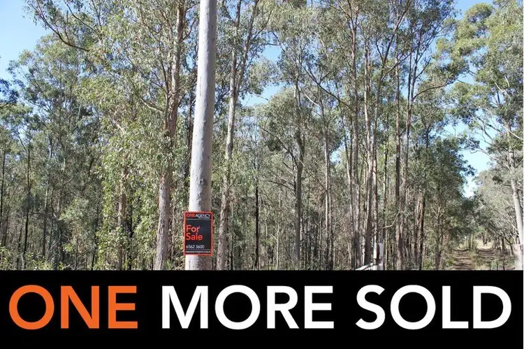 48 John Lane Road, Yarravel NSW 2440
