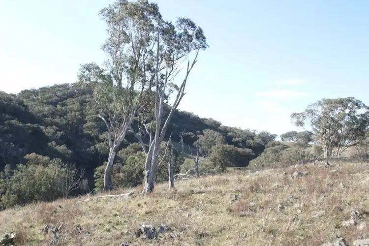 Fourth view of Homely rural property listing, 848 Hughes Road, Mudgee NSW 2850