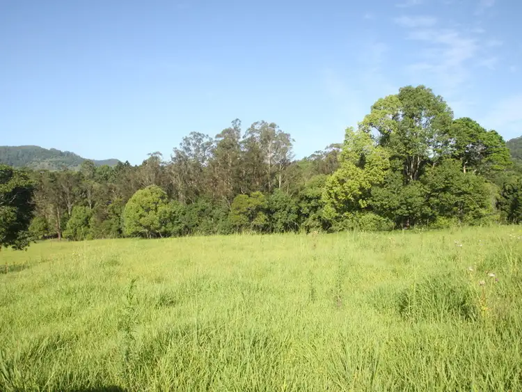 Sixth view of Homely rural property listing, 25 Kirkland Road, Nimbin NSW 2480