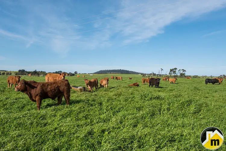 Sixth view of Homely rural property listing, 15 Talbot Road, Moorak SA 5291