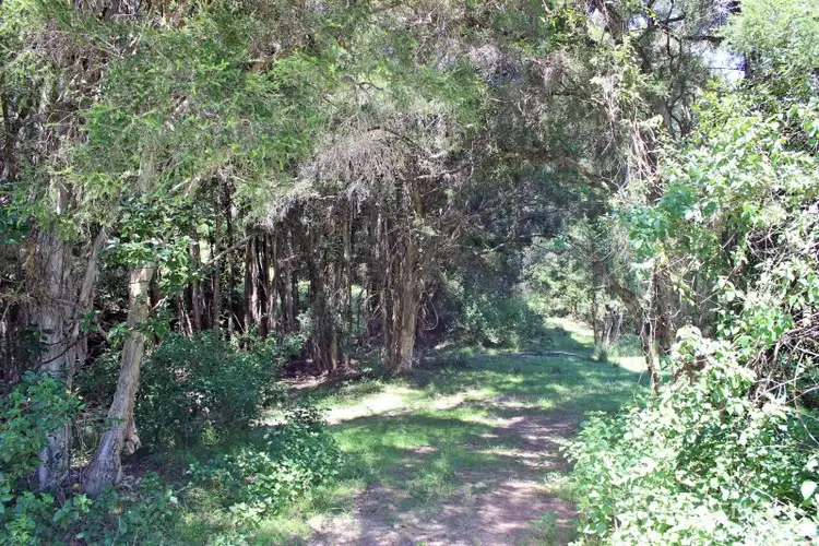 Fifth view of Homely rural property listing, LOT 29 Chain O Ponds Road, Collombatti NSW 2440