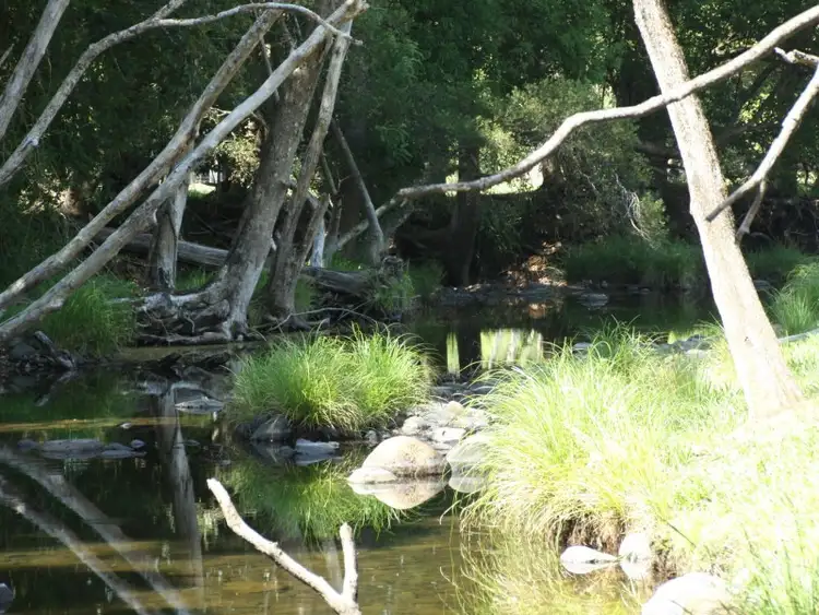 Sixth view of Homely rural property listing, 149 Crofton Road, Nimbin NSW 2480