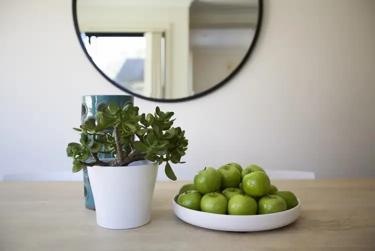 Fifth view of Homely unit listing, 2/4 Victoria Street, Unanderra NSW 2526
