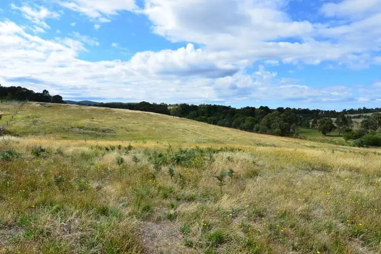 Third view of Homely rural property listing, 13 & 2010 Fighting Gully Road, Beechworth VIC 3747