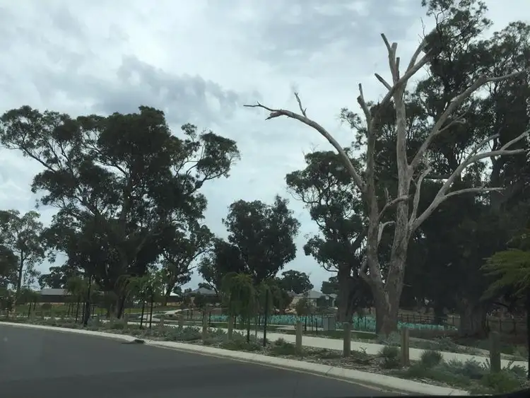 Seventh view of Homely land listing, 4 Barrington Approach, Lakelands WA 6180