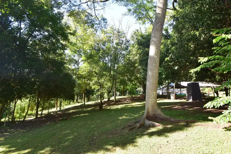 Sixth view of Homely rural property listing, 5381 Kyogle Road, Cawongla NSW 2474