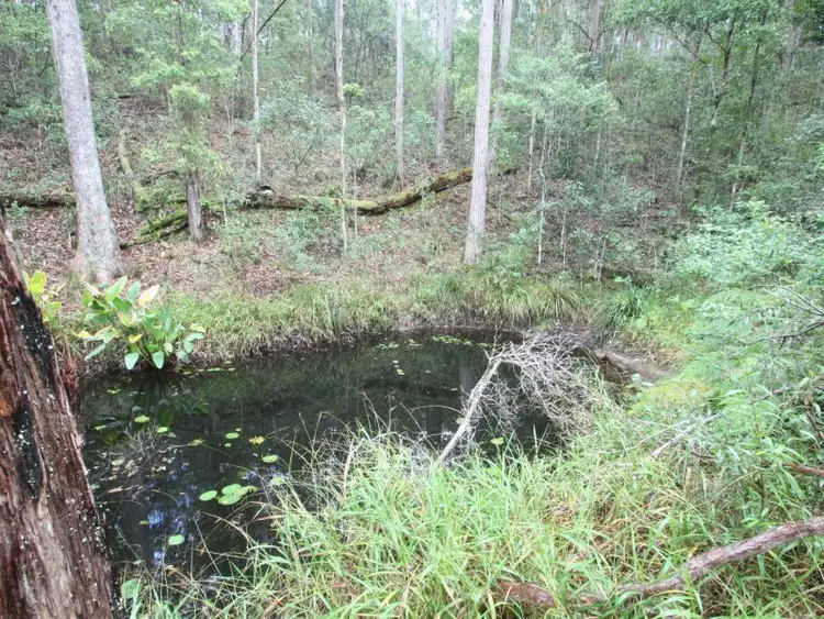 Sixth view of Homely rural property listing, 424 Doon Doon Road, Doon Doon NSW 2484