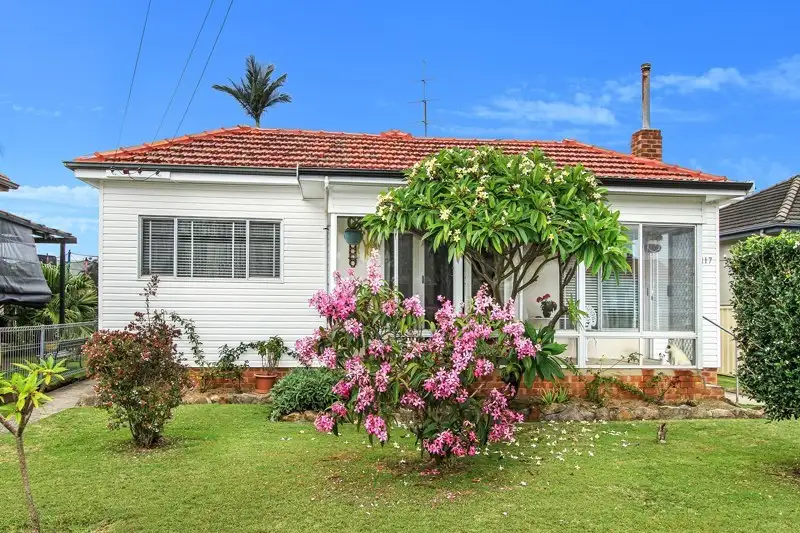 Main view of Homely house listing, 117 Pur Pur Avenue, Lake Illawarra NSW 2528